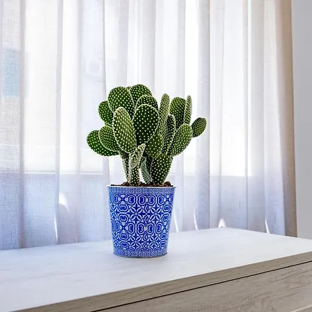 Urban Oasis Casa de hóspedes