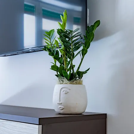 Urban Oasis 3*
