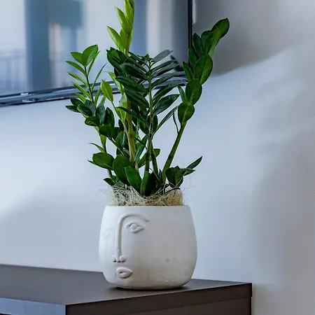 Urban Oasis Bari