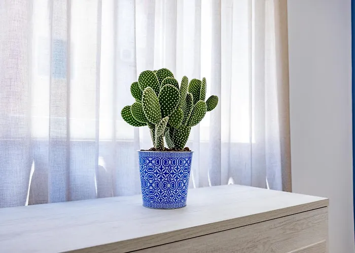 Urban Oasis Guest house